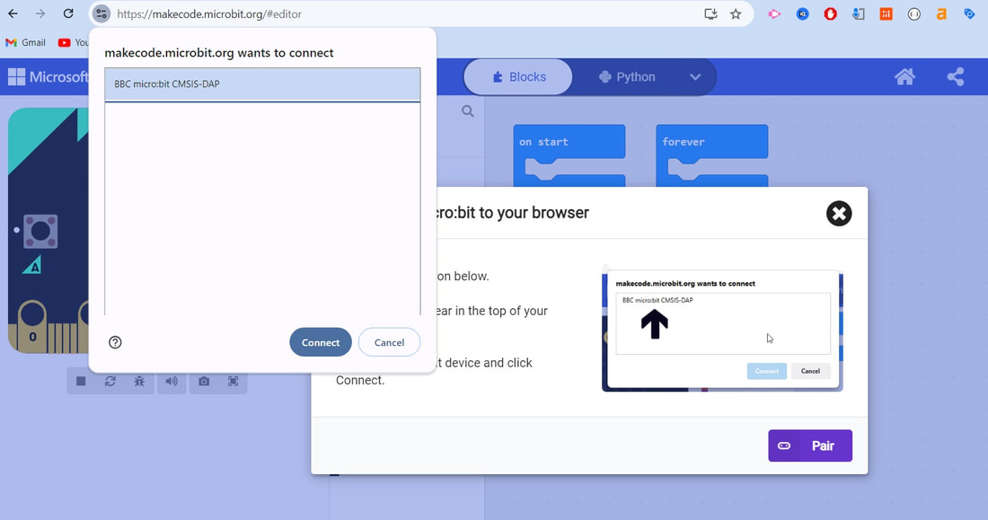 Picture