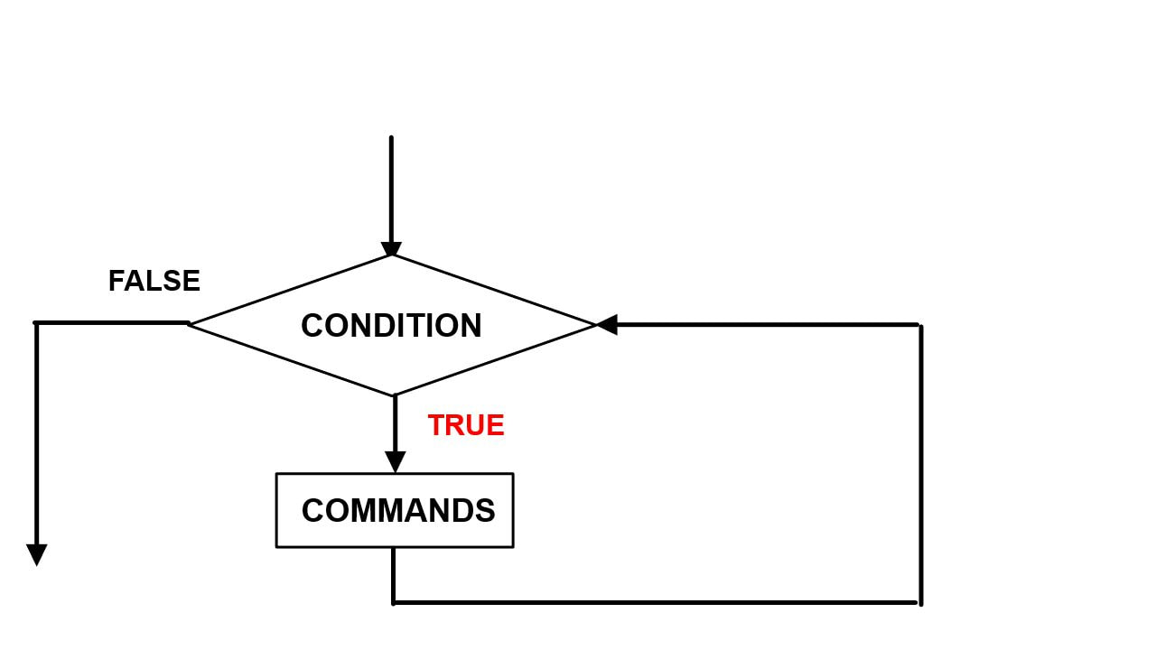While loop algorithm